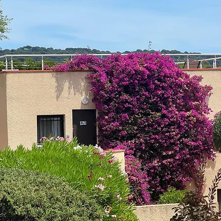 La Terrasse Sur La Mer, Gigaro 4 A 6 Pers, Piscine Et A Pied Apartment