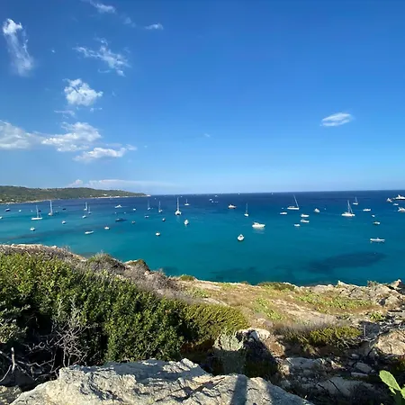 La Terrasse Sur La Mer, Gigaro 4 A 6 Pers, Piscine Et A Pied Apartment *