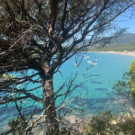 La Terrasse Sur La Mer, Gigaro 4 A 6 Pers, Piscine Et A Pied * La Croix-Valmer